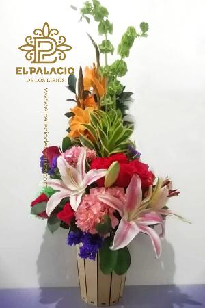 Ramo 16