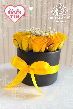 Caja Dorada Sunshine