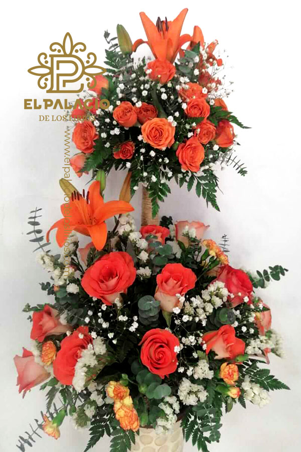 Ramo 25