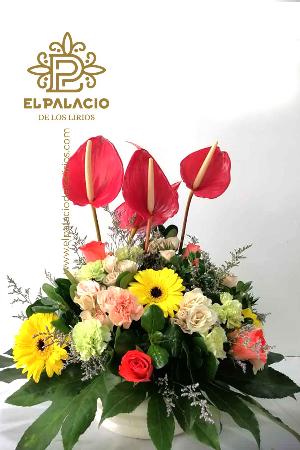 Ramo 48