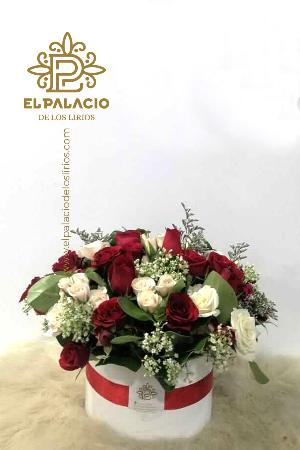 Ramo 61