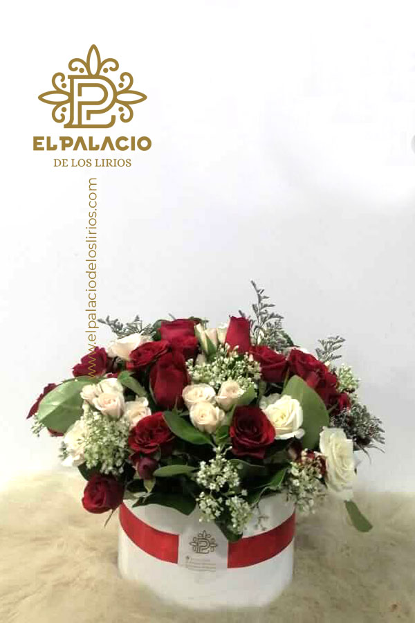 Ramo 61