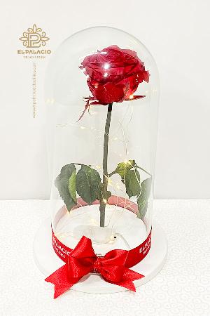 Rosas preservadas 83