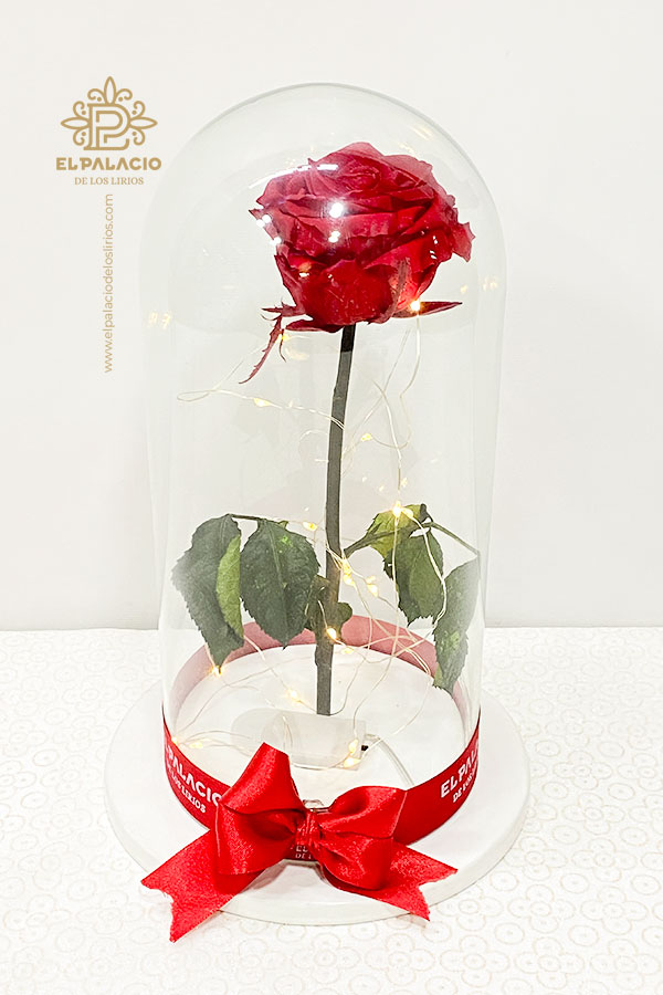 Rosas preservadas 83